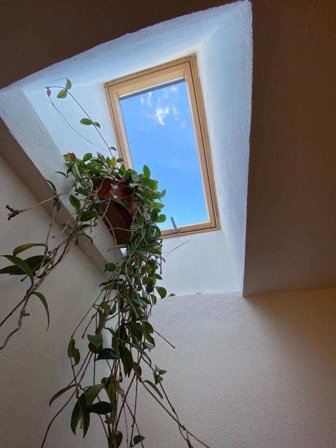 Отель Casa Mili Grinties Экстерьер фото